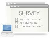 Online Surveys